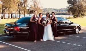 stretch limo wedding party